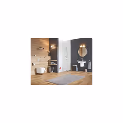 GROHE 40367001 Essentials Wall-Mounted Toilet Paper Holder with Cover, Starlight Chrome