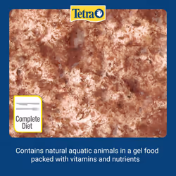 Fish Food Fresh Delica Brine Shrimp 48g, Gel Food Treats for Healthy Feeding Fun for all Onamental Fish
