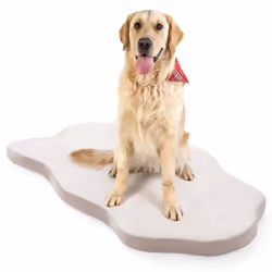 Dog Bed for Large Dogs Orthopedic Dog Bed with Memory Foam Support Waterproof