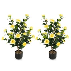 2PCS Yellow Artificial Camellia Trees in Cement Pot Free Maintenance