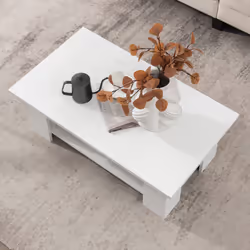 2-tier Coffee Table w/ Large Tabletop & 5 Support Legs Modern