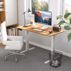 Electric Standing Desk Home Office 120x60cm Adjustable Desk-Natural