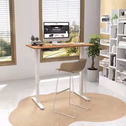Electric Standing Desk Home Office 120x60cm Adjustable Desk-Natural