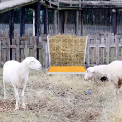 Sheep Wall-Mounted Hay Rack 2-in-1 Hay&Grain Feeder Handing Livestock Feeder