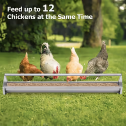 Heavy-Duty Galvanized Steel Chicken Feeding Trough Metal Chicken Feeder