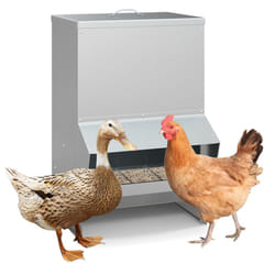 22 kg Capacity Galvanized Wall Mount Chicken Feeder with Lid-Silver