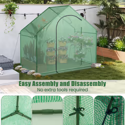Walk-in Greenhouse Portable Outdoor Warm House for Winter-Green