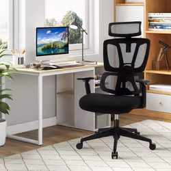Ergonomic Office Chair Adjustable Desk Chair Breathable Mesh w/ Lumbar Support