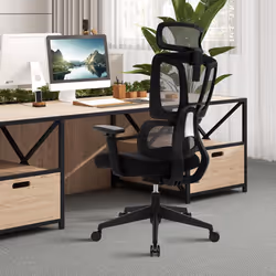 Ergonomic Office Chair Adjustable Desk Chair Breathable Mesh w/ Lumbar Support