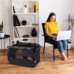 Folding Soft Dog Crate Portable and Foldable Pet Carrying Bag-Black
