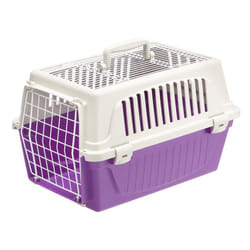 Ferplast Atlas Pet Carrier  Small Pet Carrier for Dogs & Cats w/Top & Front Door Access 19-Inch