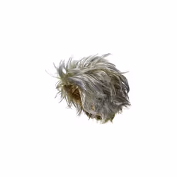 Forum Novelties Zombie Corpse Wig