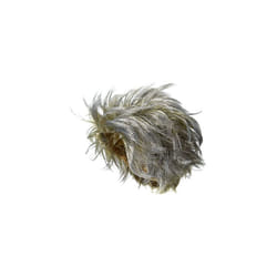 Forum Novelties Zombie Corpse Wig