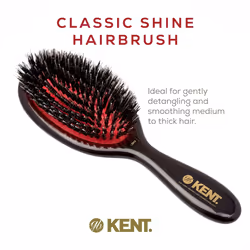 Kent CSMS Classic Shine Small Oval Cushion Straightening Brush - Natural Black Boar Bristle Hair Brush with Nylon Quills - Shine Hair Brush and Scalp
