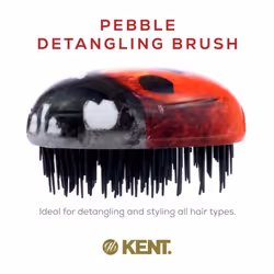 Kent PBUG Ladybug Pebble Scalp Massager Shampoo Brush, Shower Brush, and Travel Size Detangling Brush - Scalp Scrubber for Dandruff and Kids Hair Brus