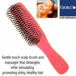 Giorgio GION1R Neon Red 7.75 inch Gentle Touch Detangler Hair Brush for Men and Women. Soft Bristles for Sensitive Scalp. Wet and Dry for all Hair Typ