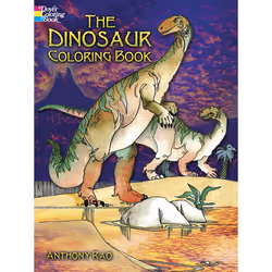 Dover Publications 240223, 48 pages, Boy/Girl, Coloring book/album