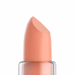 NYX PROFESSIONAL MAKEUP Matte Lipstick  Zen Orchid