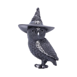 Owlocen occult owl collectable nemesis now owl