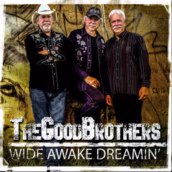Alive AG Wide Awake Dreamin', Country, CD, Good Brothers, Physical media, IDLA / Black Hen Music