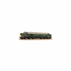 Class 40 Disc D213 Andania BR Green Small Yellow Panels