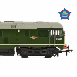 Class 24/0 D5036 BR Green SYP Disc Headcode