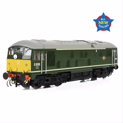 Class 24/0 D5036 BR Green SYP Disc Headcode