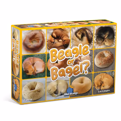 Blue Orange Beagle or Bagel?, Card Game, Matching, 7 yr(s)