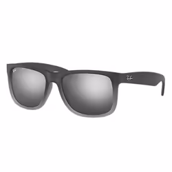 Ray-Ban Justin Classic, Adult, Unisex, Shield, Square, Full rim, Grey