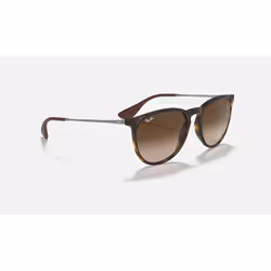 Ray-Ban Erika Classic sunglasses Oval - Additional view 4