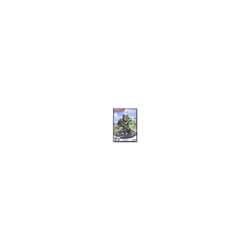 Halo: Combat Evolved (PC CD)