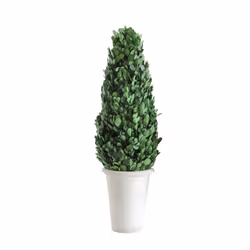 Creative Co-Op Boxwood Topiary in Clay Pot