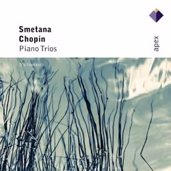 Warner Music Trio Fontenay - Chopin & Smetana: Piano Trios, CD, Classic, CD, Trio Fontenay, Physical media, Adult, 1 discs
