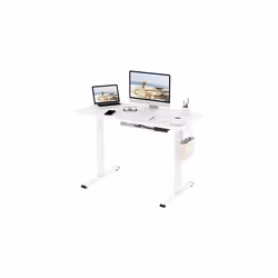FLEXISPOT Electric Height Adjustable Standing Desk Sit Stand Desk Adjustable Desk Stand Up Desk with Memory Smart Pannel EF1 ...