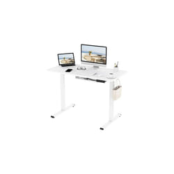 FLEXISPOT Electric Height Adjustable Standing Desk Sit Stand Desk Adjustable Desk Stand Up Desk with Memory Smart Pannel EF1 Series(120 * 60cm, White)