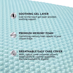 Sealy Essentials Memory Foam Gel Cooling Pillows  Standard/Queen  1 Count (Pack of 1) White