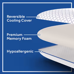 Sealy Essentials Cool Touch Memory Foam Pillows  1 Pack  White