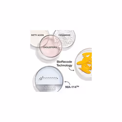 StriVectin Wrinkle Recode Moisture Rich Barrier Cream