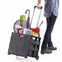 Inspired Living Ultra-Slim Rolling Collapsible Storage Pack-N-Roll Uti
