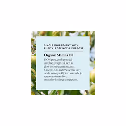 Organic Marula Oil for Face 100% Pure & Cold-Pressed USDA Certified Organic to Replenish, Balance & Boost Glow, 1 fl. Oz