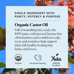 Organic Castor Oil (16 oz), USDA Certified Organic, 100% Pure, Cold Pressed, Hexane Free, Boost Hair Growth, Use with