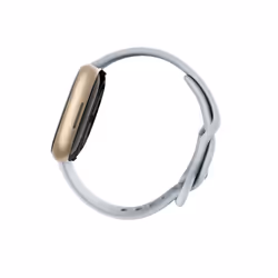 Fitbit Sense 2 Digital Touchscreen Gold GPS (satellite) - Additional view 5