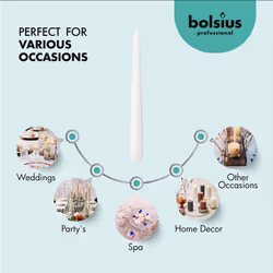 BOLSIUS White Taper Candles - Bulk Case of 4 Packs = Total 120 Candles - 8 Hours - Premium European Quality - Consistent Smokeless Flame - Unscented D