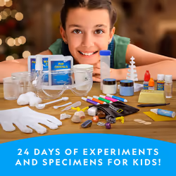 NATIONAL GEOGRAPHIC Kids Advent Calendar - 24 Science Experiments  Rocks  Fossils and Gemstone Dig Kit With Storage Bag