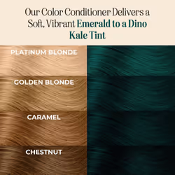 INH Semi Permanent Hair Color | Color Depositing Conditioner | Emerald Green Hair Dye | No Bleach & No Peroxide Temporary Tint for Women & Men | Vegan