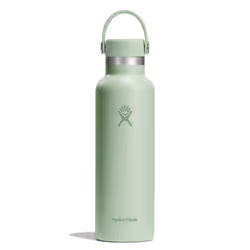 Hydro Flask 21 Oz Standard Flex Cap Aloe