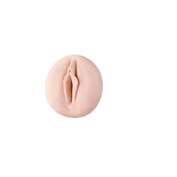 Fleshlight Jenna Haze, Beige, White, 241.3 mm