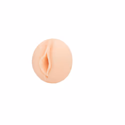 Fleshlight Riley Reid, Beige, White, 241.3 mm