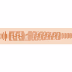 Fleshlight Riley Reid Beige, White