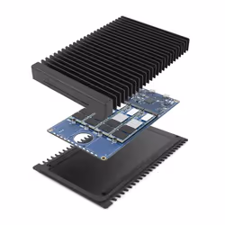 OWC ThunderBlade SSD enclosure Black M.2